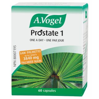 prostate1